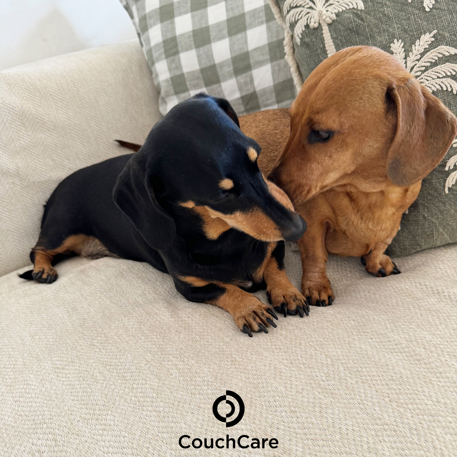 CouchCare Couch Covers